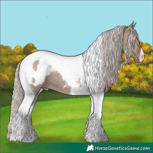 Horse Color:Silver Grullo Tobiano Appaloosa