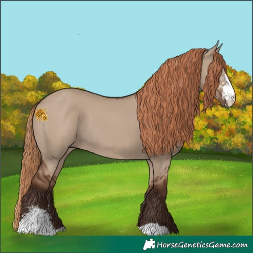 Horse Color:Liver Red Dun Sabino Rabicano