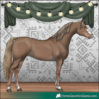 Horse Color:Liver Red Dun Sabino Rabicano 