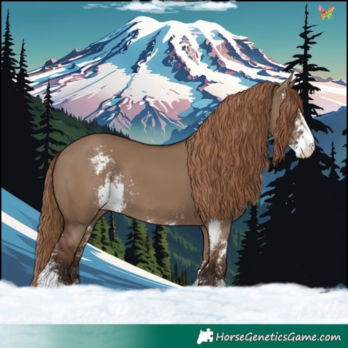 Horse Color:Liver Red Dun Sabino Rabicano 
