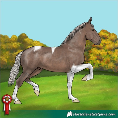 Horse Color:Silver Black Tobiano 