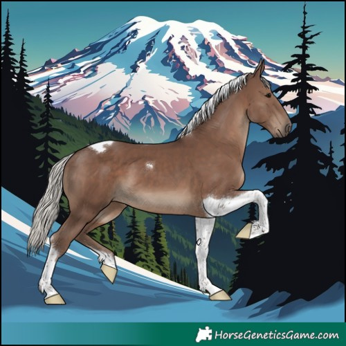 Horse Color:Silver Black Tobiano