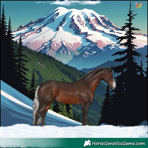 Horse Color:Silver Brown Sabino Rabicano