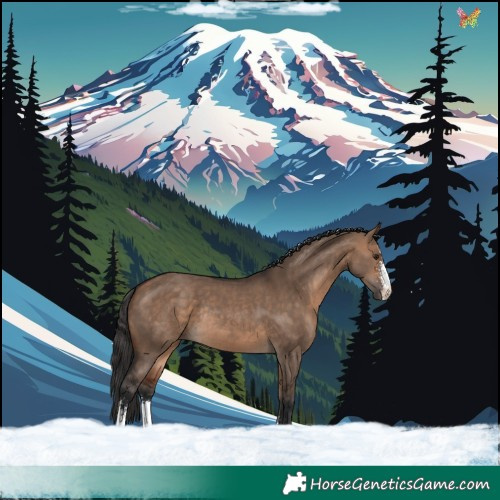 Horse Color:Bay Dun Sabino Rabicano