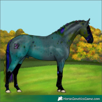 Horse Color:ERROR: UNKNOWN ANOMALY