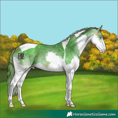 Horse Color:Watercolor Bay Splash Tobiano Varnish