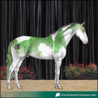 Horse Color:Watercolor Bay Splash Tobiano Varnish