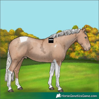 Horse Color:Silver Black Ice Pearl Tobiano