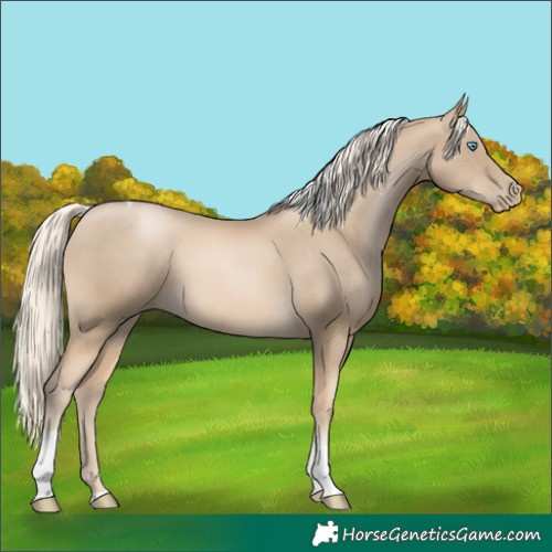 Horse Color:Chocolate Palomino Pearl Mushroom Tobiano 