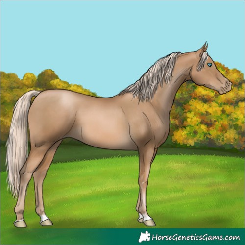 Horse Color:Chocolate Palomino Pearl 