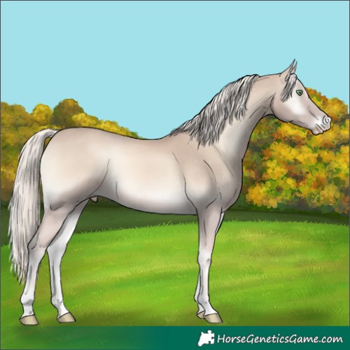 Horse Color:Cremello Onyx Mushroom 
