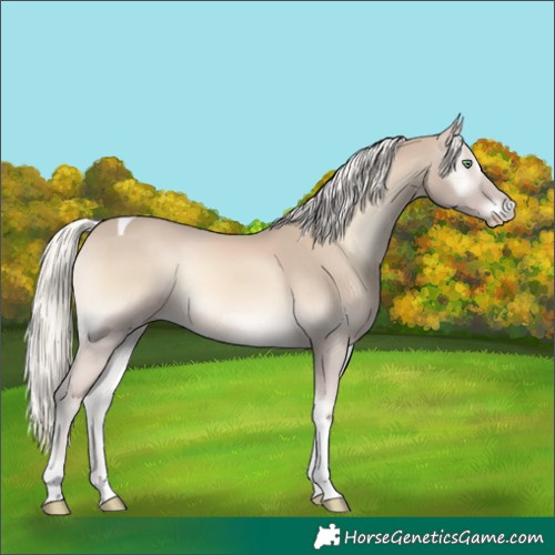 Horse Color:Cremello Onyx Mushroom Tobiano 