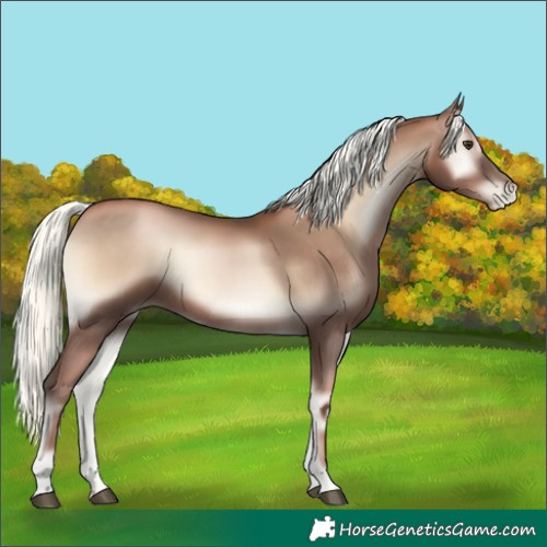 Horse Color:Liver Red Onyx Pearl Mushroom 