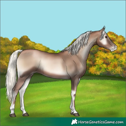 Horse Color:Liver Red Onyx Pearl Mushroom 