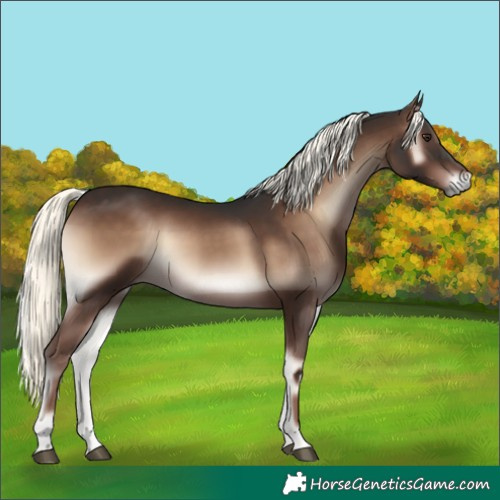 Horse Color:Liver Red Onyx Mushroom
