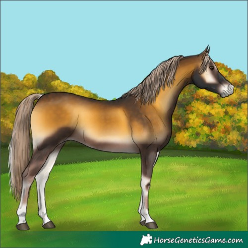 Horse Color:Chocolate Palomino Onyx Mushroom 