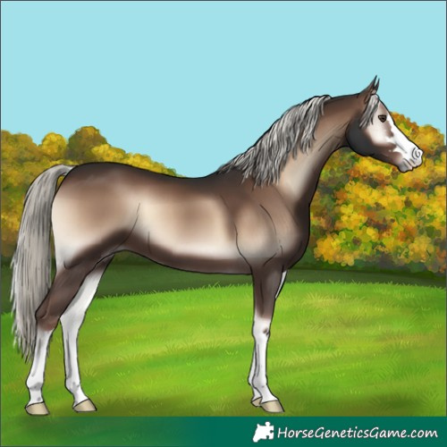 Horse Color:Liver Red Onyx Mushroom