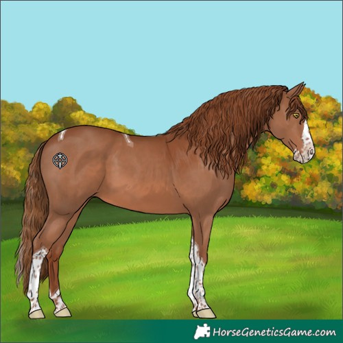 Horse Color:Chestnut Splash Tobiano