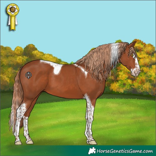 Horse Color:Chestnut Splash Tobiano