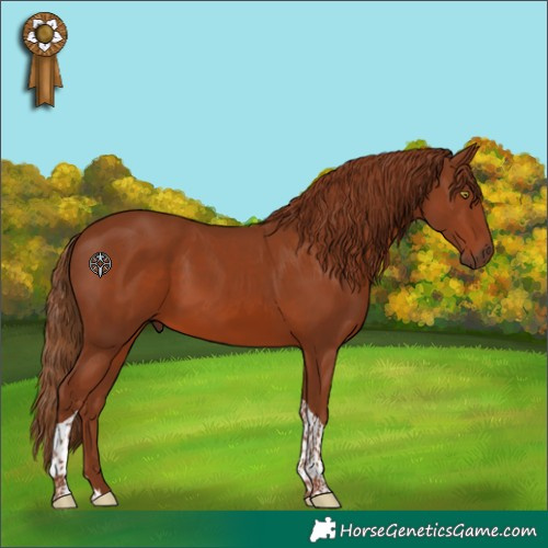 Horse Color:Chestnut Tobiano