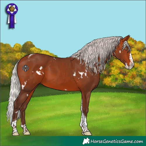 Horse Color:White Spotted Silver Bay Splash Tobiano