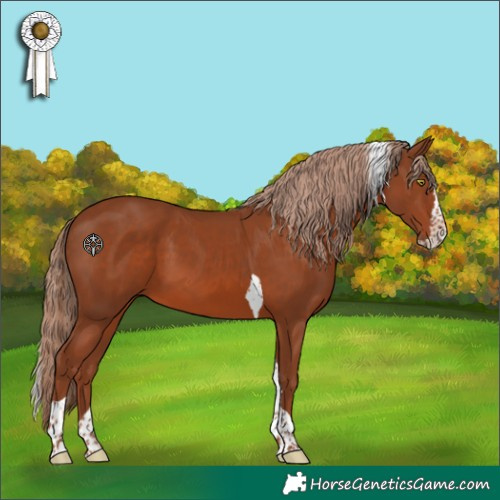 Horse Color:Chestnut Splash Tobiano