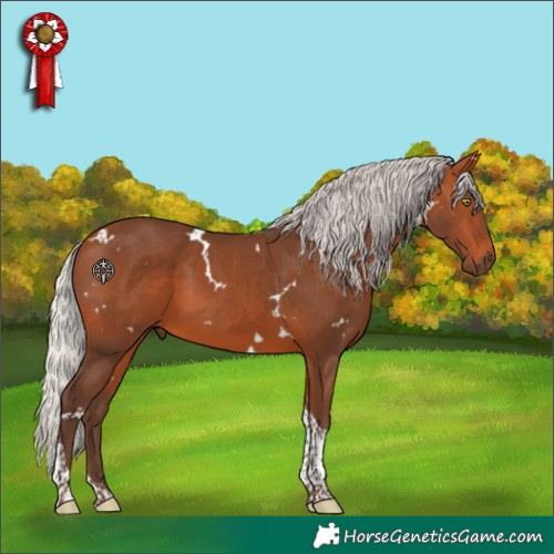 Horse Color:White Spotted Silver Bay Tobiano