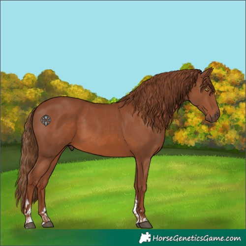 Horse Color:Chestnut Tobiano 