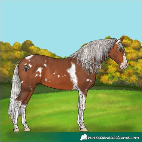 Horse Color:White Spotted Silver Bay Splash Tobiano 