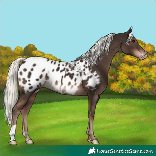 Horse Color:Liver Chestnut Mushroom Blanket