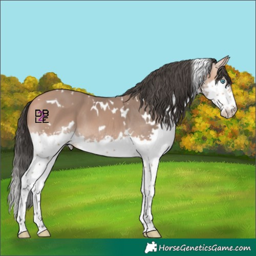 Horse Color:White Spotted Bay Mushroom Splash 