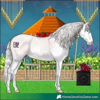 Horse Color:White Spotted Silver Sable Champagne Pearl Mushroom Splash