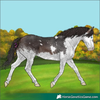 Horse Color:White Spotted Brown Mushroom Splash