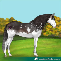 Horse Color:White Spotted Brown Mushroom Splash 