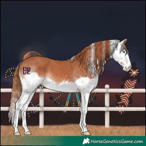 Horse Color:Chestnut Splash Skewed LP Spotted