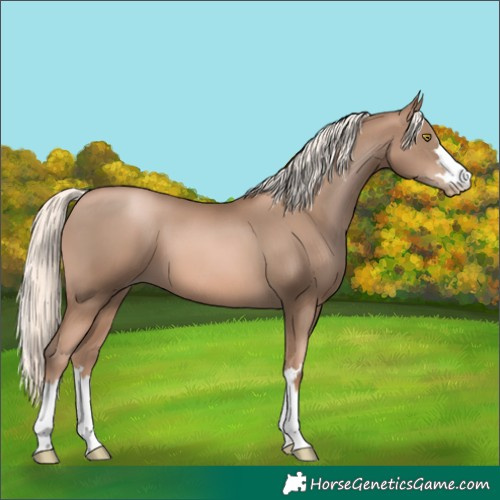 Horse Color:Liver Chestnut Pearl Mushroom 