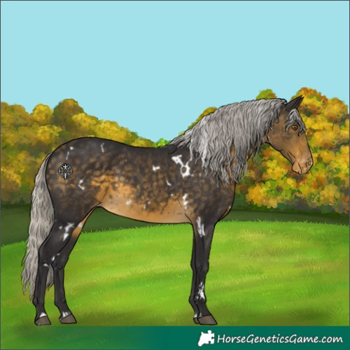 Horse Color:White Spotted Silver Buckskin Appaloosa Rabicano 