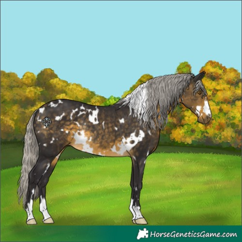Horse Color:White Spotted Silver Buckskin Rabicano 