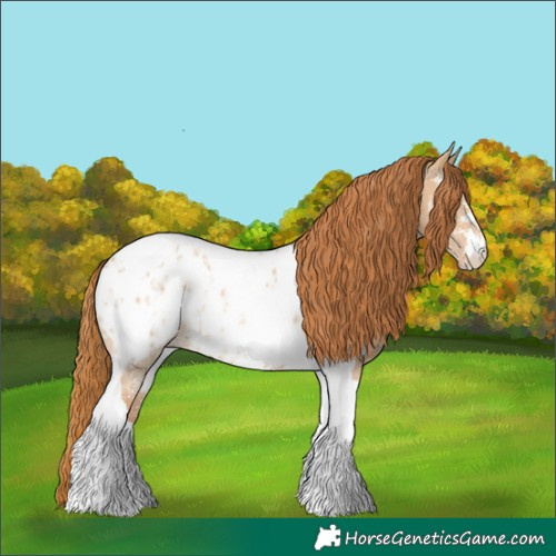 Horse Color:Red Dun Ice Sabino Tobiano Near Leopard Rabicano