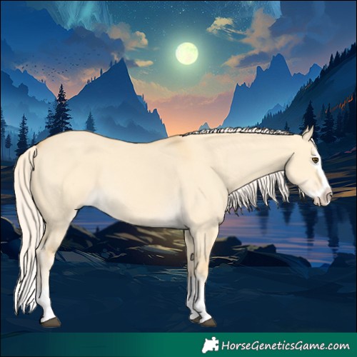 Horse Color:Palomino Dun Splash