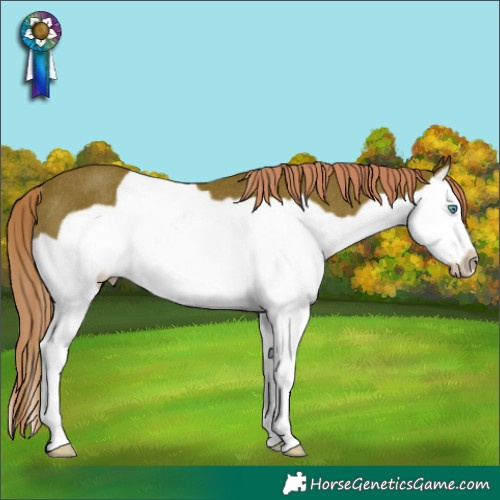 Horse Color:Watercolor Chestnut Splash Frame Rabicano 