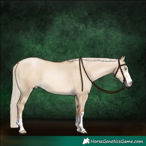 Horse Color:Chocolate Palomino Pearl Dun