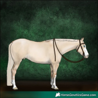Horse Color:Chocolate Palomino Pearl Dun 
