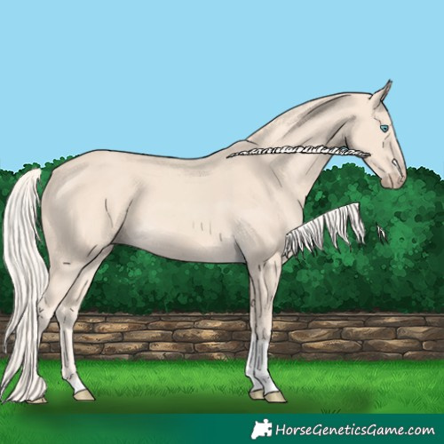 Horse Color:Cremello Tobiano 