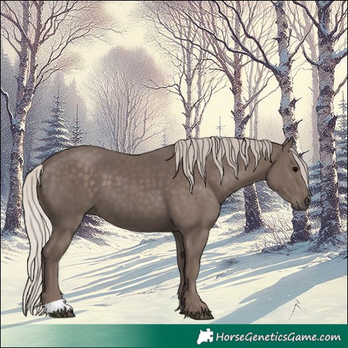 Horse Color:Silver Black 