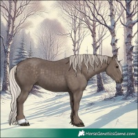 Horse Color:Silver Black