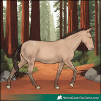 Horse Color:Amber Champagne 