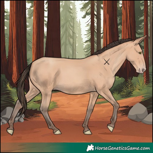 Horse Color:Amber Champagne 
