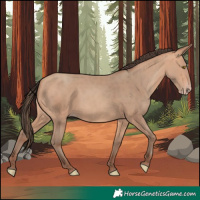 Horse Color:Amber Champagne
