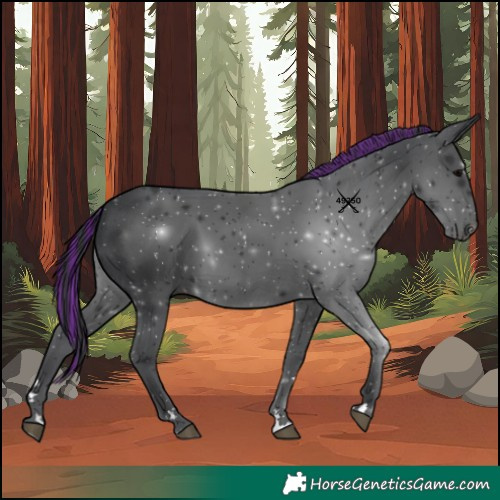 Horse Color:Painted Black 